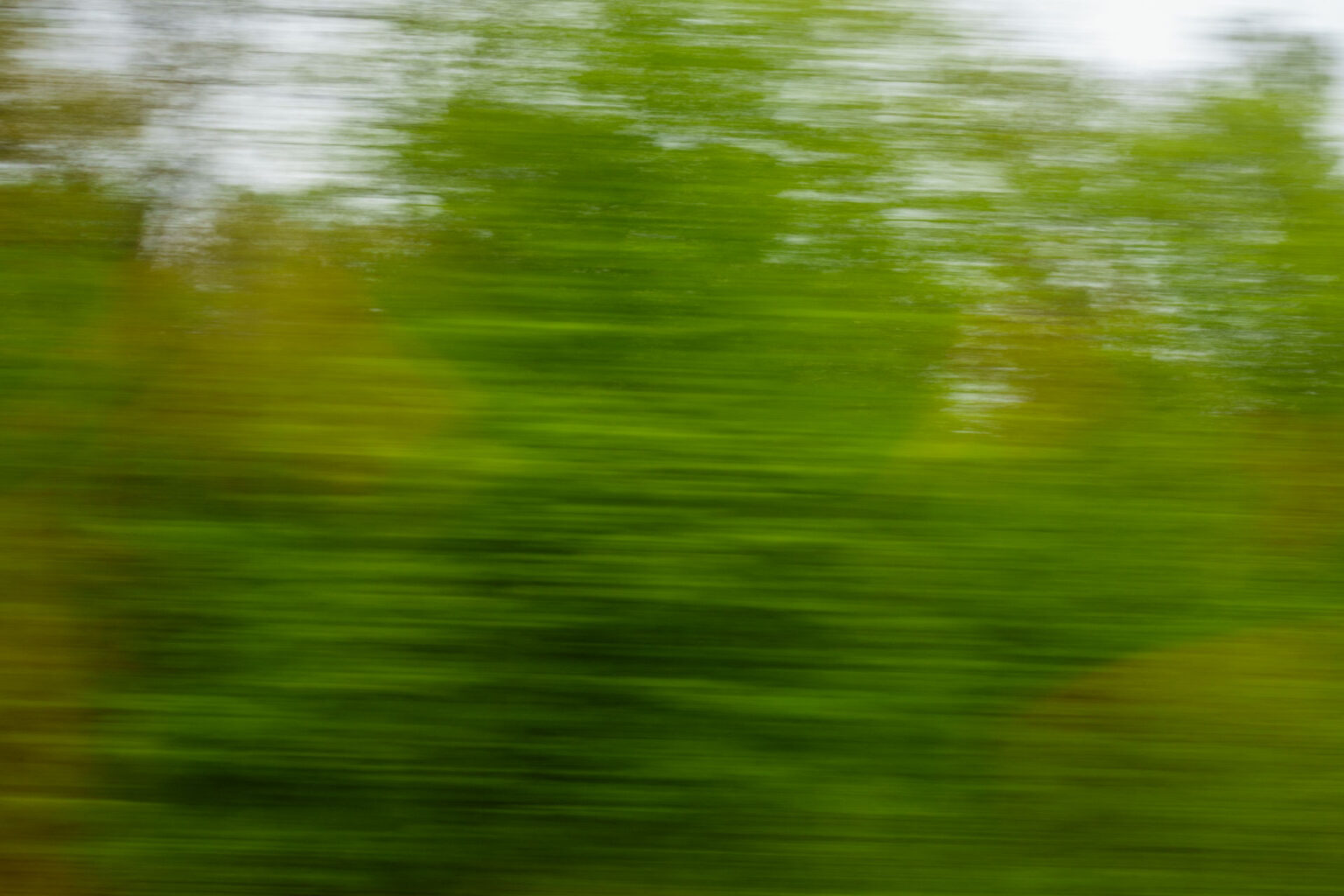 A blurry landscape image shot through a window on a moving train