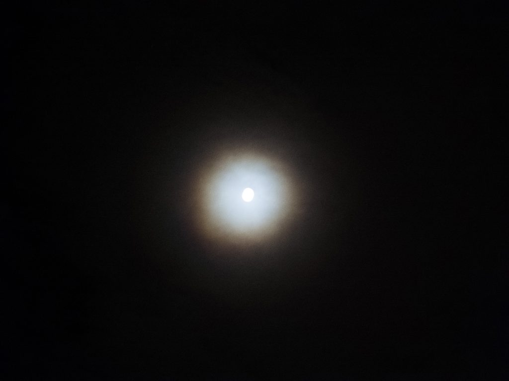 Photograph of the moon on a moody, winter night.